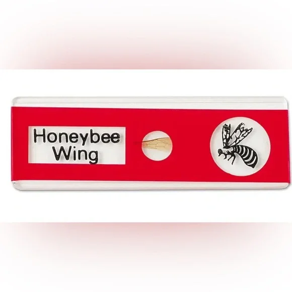 NEW! Prepared Microscope Slides by Lakeshore Learning - unused, still in boxes - Picture 8 of 11